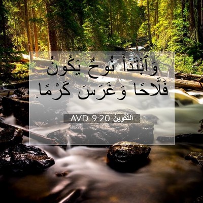 Picture 07 - اَلتَّكْوِينُ 9:20 AVD - وَٱبْتَدَأَ نُوحٌ يَكُونُ - Bible Verse Picture