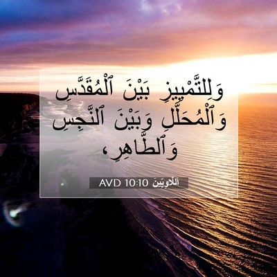 Picture 07 - اَللَّاوِيِّينَ 10:10 AVD - وَلِلتَّمْيِيزِ بَيْنَ - Bible Verse Picture