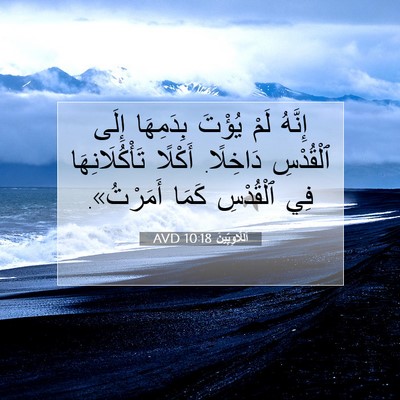 Picture 07 - اَللَّاوِيِّينَ 10:18 AVD - إِنَّهُ لَمْ يُؤْتَ - Bible Verse Picture