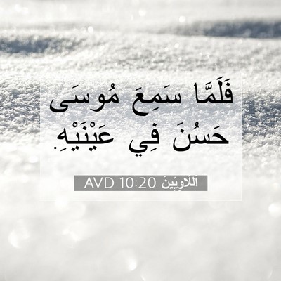 Picture 07 - اَللَّاوِيِّينَ 10:20 AVD - فَلَمَّا سَمِعَ مُوسَى - Bible Verse Picture