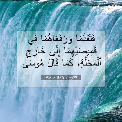 Picture 07 - اَللَّاوِيِّينَ 10:5 AVD - فَتَقَدَّمَا - Bible Verse Picture