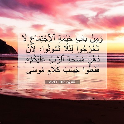 Picture 07 - اَللَّاوِيِّينَ 10:7 AVD - وَمِنْ بَابِ خَيْمَةِ - Bible Verse Picture