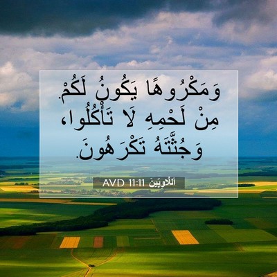 Picture 07 - اَللَّاوِيِّينَ 11:11 AVD - وَمَكْرُوهًا يَكُونُ - Bible Verse Picture