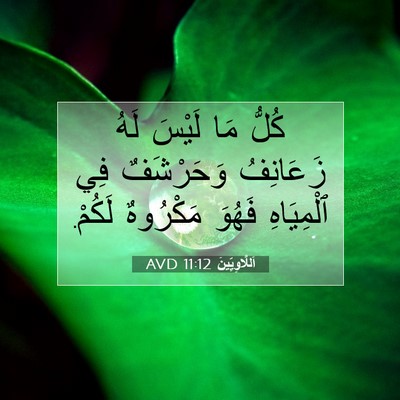 Picture 07 - اَللَّاوِيِّينَ 11:12 AVD - كُلُّ مَا لَيْسَ لَهُ - Bible Verse Picture