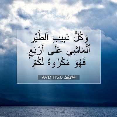 Picture 07 - اَللَّاوِيِّينَ 11:20 AVD - وَكُلُّ دَبِيبِ ٱلطَّيْرِ - Bible Verse Picture