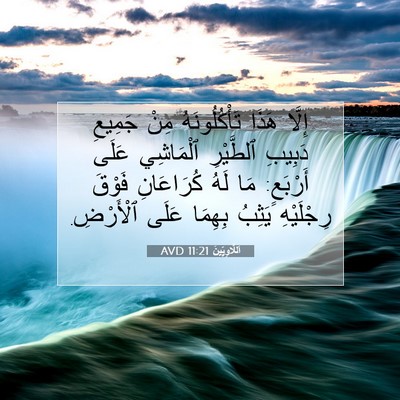 Picture 07 - اَللَّاوِيِّينَ 11:21 AVD - إِلَّا هَذَا - Bible Verse Picture