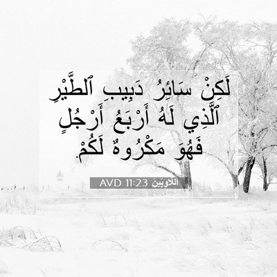 Picture 07 - اَللَّاوِيِّينَ 11:23 AVD - لَكِنْ سَائِرُ دَبِيبِ - Bible Verse Picture