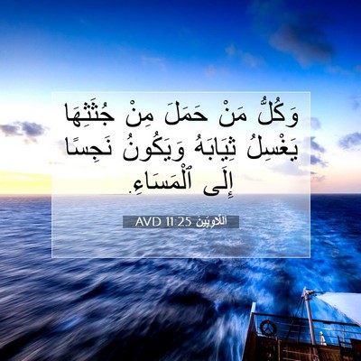 Picture 07 - اَللَّاوِيِّينَ 11:25 AVD - وَكُلُّ مَنْ حَمَلَ مِنْ - Bible Verse Picture