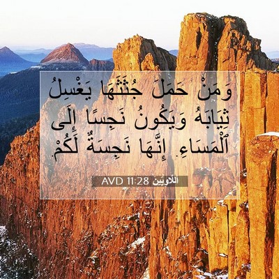 Picture 07 - اَللَّاوِيِّينَ 11:28 AVD - وَمَنْ حَمَلَ جُثَثَهَا - Bible Verse Picture