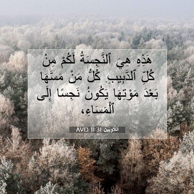Picture 07 - اَللَّاوِيِّينَ 11:31 AVD - هَذِهِ هِيَ ٱلنَّجِسَةُ - Bible Verse Picture