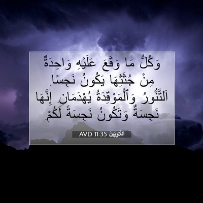 Picture 07 - اَللَّاوِيِّينَ 11:35 AVD - وَكُلُّ مَا وَقَعَ - Bible Verse Picture