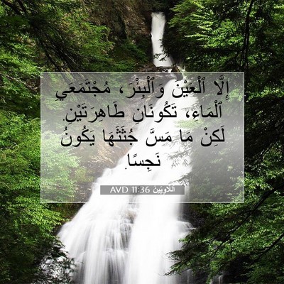 Picture 07 - اَللَّاوِيِّينَ 11:36 AVD - إِلَّا ٱلْعَيْنَ - Bible Verse Picture