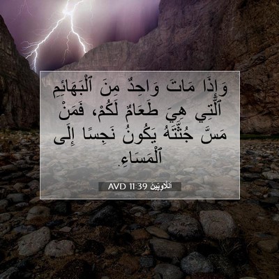 Picture 07 - اَللَّاوِيِّينَ 11:39 AVD - وَإِذَا مَاتَ وَاحِدٌ مِنَ - Bible Verse Picture