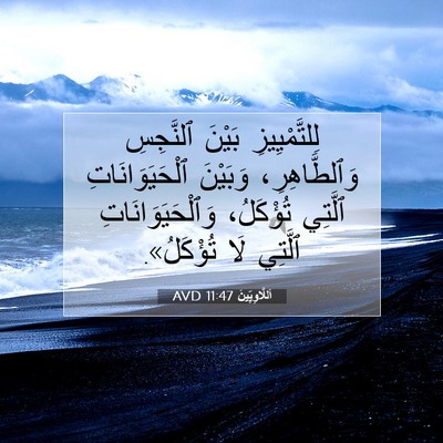 Picture 07 - اَللَّاوِيِّينَ 11:47 AVD - لِلتَّمْيِيزِ بَيْنَ - Bible Verse Picture