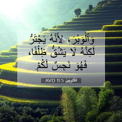 Picture 07 - اَللَّاوِيِّينَ 11:5 AVD - وَٱلْوَبْرَ، لِأَنَّهُ - Bible Verse Picture