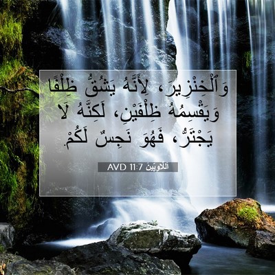 Picture 07 - اَللَّاوِيِّينَ 11:7 AVD - وَٱلْخِنْزِيرَ، لِأَنَّهُ - Bible Verse Picture