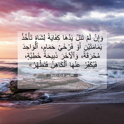 Picture 07 - اَللَّاوِيِّينَ 12:8 AVD - وَإِنْ لَمْ تَنَلْ يَدُهَا - Bible Verse Picture