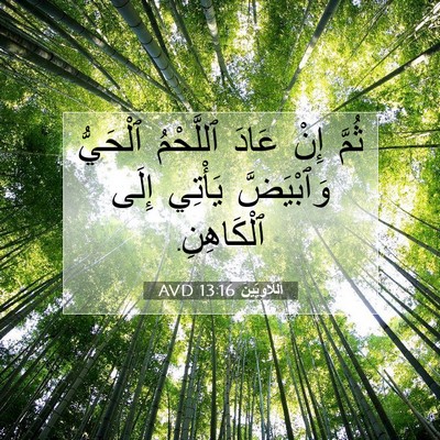 Picture 07 - اَللَّاوِيِّينَ 13:16 AVD - ثُمَّ إِنْ عَادَ ٱللَّحْمُ - Bible Verse Picture