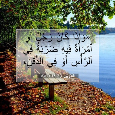Picture 07 - اَللَّاوِيِّينَ 13:29 AVD - «وَإِذَا كَانَ رَجُلٌ أَوِ - Bible Verse Picture