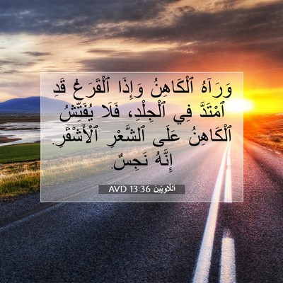 Picture 07 - اَللَّاوِيِّينَ 13:36 AVD - وَرَآهُ ٱلْكَاهِنُ - Bible Verse Picture