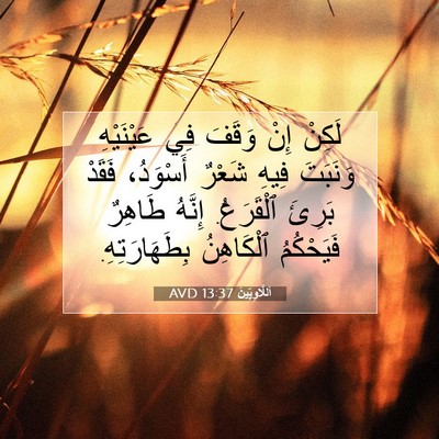Picture 07 - اَللَّاوِيِّينَ 13:37 AVD - لَكِنْ إِنْ وَقَفَ فِي - Bible Verse Picture