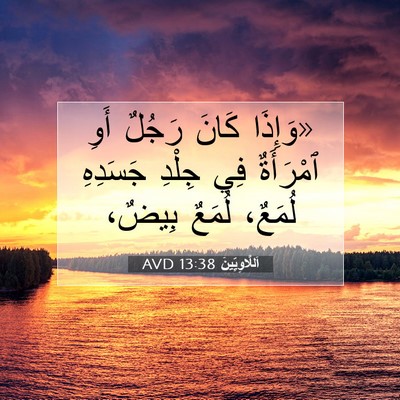 Picture 07 - اَللَّاوِيِّينَ 13:38 AVD - «وَإِذَا كَانَ رَجُلٌ أَوِ - Bible Verse Picture