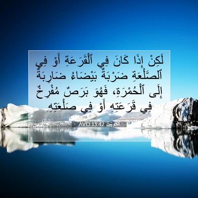 Picture 07 - اَللَّاوِيِّينَ 13:42 AVD - لَكِنْ إِذَا كَانَ فِي - Bible Verse Picture