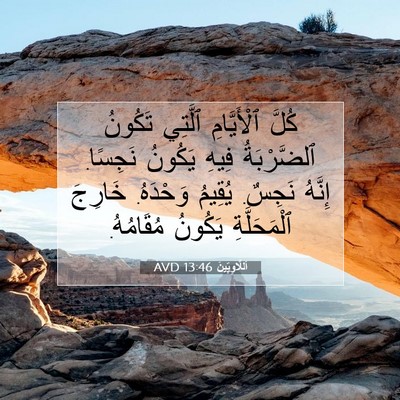 Picture 07 - اَللَّاوِيِّينَ 13:46 AVD - كُلَّ ٱلْأَيَّامِ ٱلَّتِي - Bible Verse Picture
