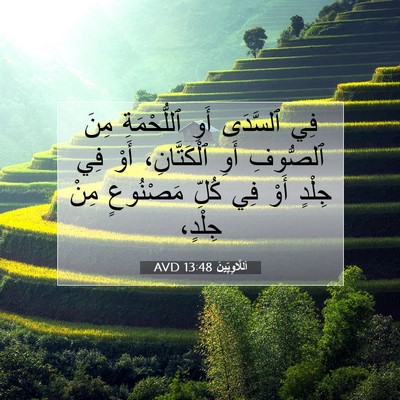 Picture 07 - اَللَّاوِيِّينَ 13:48 AVD - فِي ٱلسَّدَى أَوِ - Bible Verse Picture