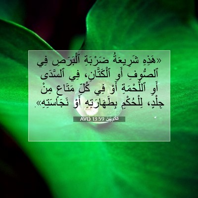 Picture 07 - اَللَّاوِيِّينَ 13:59 AVD - «هَذِهِ شَرِيعَةُ - Bible Verse Picture