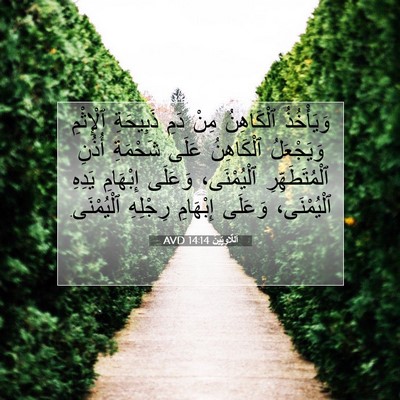 Picture 07 - اَللَّاوِيِّينَ 14:14 AVD - وَيَأْخُذُ ٱلْكَاهِنُ - Bible Verse Picture