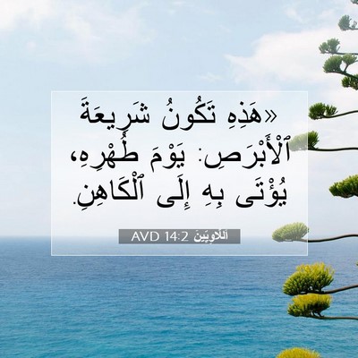Picture 07 - اَللَّاوِيِّينَ 14:2 AVD - «هَذِهِ تَكُونُ شَرِيعَةَ - Bible Verse Picture