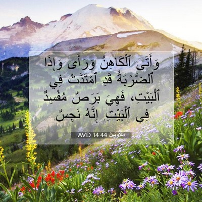 Picture 07 - اَللَّاوِيِّينَ 14:44 AVD - وَأَتَى ٱلْكَاهِنُ - Bible Verse Picture