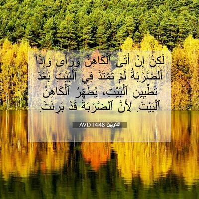 Picture 07 - اَللَّاوِيِّينَ 14:48 AVD - لَكِنْ إِنْ أَتَى - Bible Verse Picture