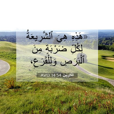 Picture 07 - اَللَّاوِيِّينَ 14:54 AVD - «هَذِهِ هِيَ ٱلشَّرِيعَةُ - Bible Verse Picture
