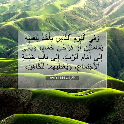 Picture 07 - اَللَّاوِيِّينَ 15:14 AVD - وَفِي ٱلْيَوْمِ - Bible Verse Picture