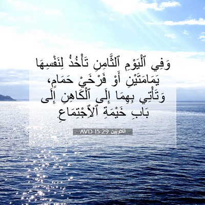 Picture 07 - اَللَّاوِيِّينَ 15:29 AVD - وَفِي ٱلْيَوْمِ - Bible Verse Picture