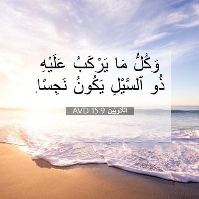 Picture 07 - اَللَّاوِيِّينَ 15:9 AVD - وَكُلُّ مَا يَرْكَبُ - Bible Verse Picture