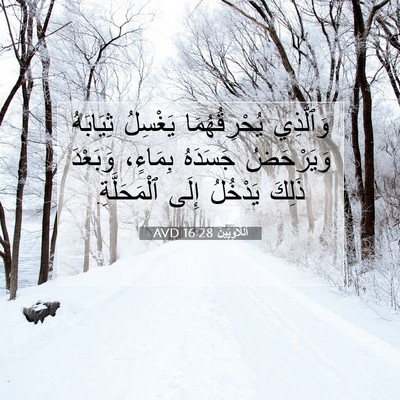 Picture 07 - اَللَّاوِيِّينَ 16:28 AVD - وَٱلَّذِي يُحْرِقُهُمَا - Bible Verse Picture