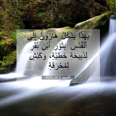 Picture 07 - اَللَّاوِيِّينَ 16:3 AVD - بِهَذَا يَدْخُلُ هَارُونُ - Bible Verse Picture