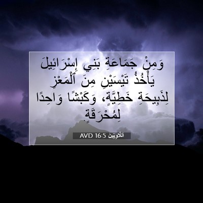 Picture 07 - اَللَّاوِيِّينَ 16:5 AVD - وَمِنْ جَمَاعَةِ بَنِي - Bible Verse Picture