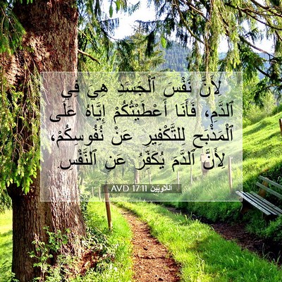 Picture 07 - اَللَّاوِيِّينَ 17:11 AVD - لِأَنَّ نَفْسَ ٱلْجَسَدِ - Bible Verse Picture