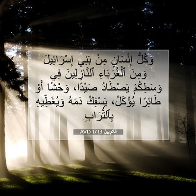 Picture 07 - اَللَّاوِيِّينَ 17:13 AVD - وَكُلُّ إِنْسَانٍ مِنْ - Bible Verse Picture