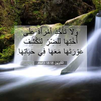 Picture 07 - اَللَّاوِيِّينَ 18:18 AVD - وَلَا تَأْخُذِ ٱمْرَأَةً - Bible Verse Picture