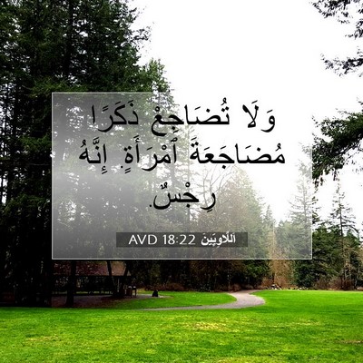 Picture 07 - اَللَّاوِيِّينَ 18:22 AVD - وَلَا تُضَاجِعْ ذَكَرًا - Bible Verse Picture
