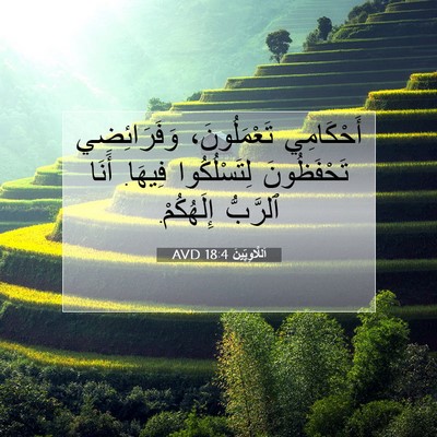 Picture 07 - اَللَّاوِيِّينَ 18:4 AVD - أَحْكَامِي تَعْمَلُونَ، - Bible Verse Picture