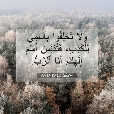 Picture 07 - اَللَّاوِيِّينَ 19:12 AVD - وَلَا تَحْلِفُوا بِٱسْمِي - Bible Verse Picture