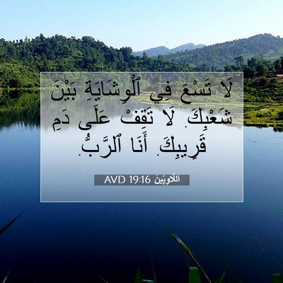 Picture 07 - اَللَّاوِيِّينَ 19:16 AVD - لَا تَسْعَ فِي - Bible Verse Picture