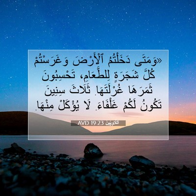 Picture 07 - اَللَّاوِيِّينَ 19:23 AVD - «وَمَتَى دَخَلْتُمُ - Bible Verse Picture
