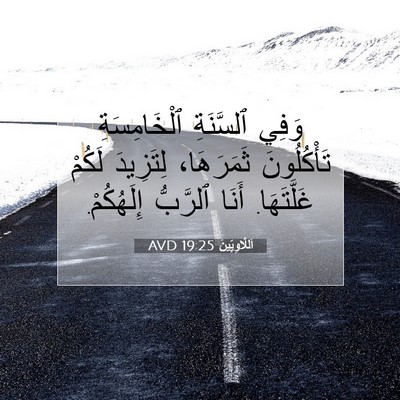 Picture 07 - اَللَّاوِيِّينَ 19:25 AVD - وَفِي ٱلسَّنَةِ - Bible Verse Picture